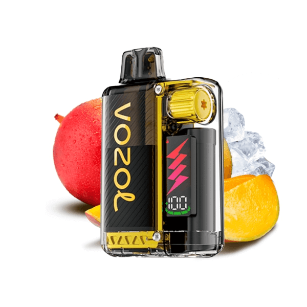 Vozol Vista Plug 2+10 Mango Ice 10000 puffs 20mg Disposable Vape